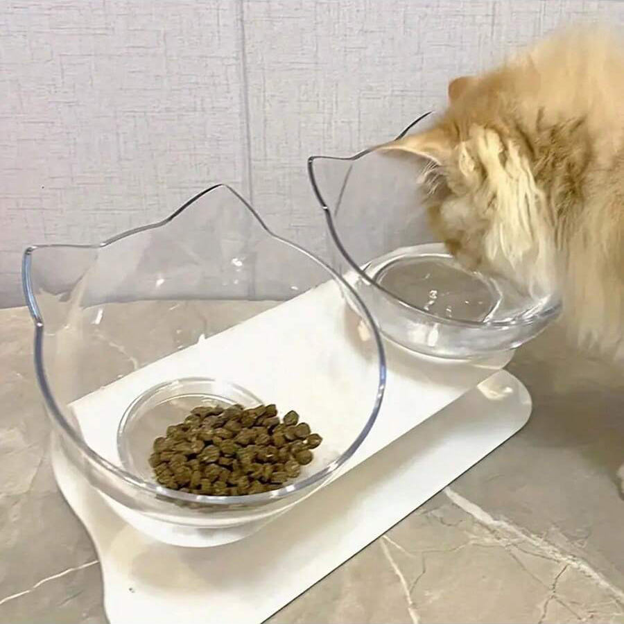 Pet Cat Bowl with Tilted Mouth - Food Storage Safety recensie en prijs
