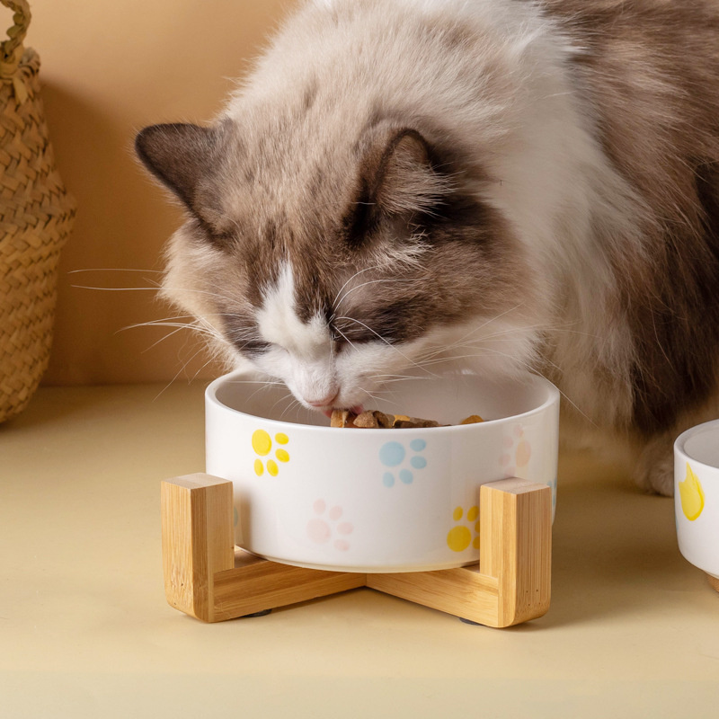 Ceramics Dog Bowl with Wood Ma - Food Storage Safety recensie en prijs