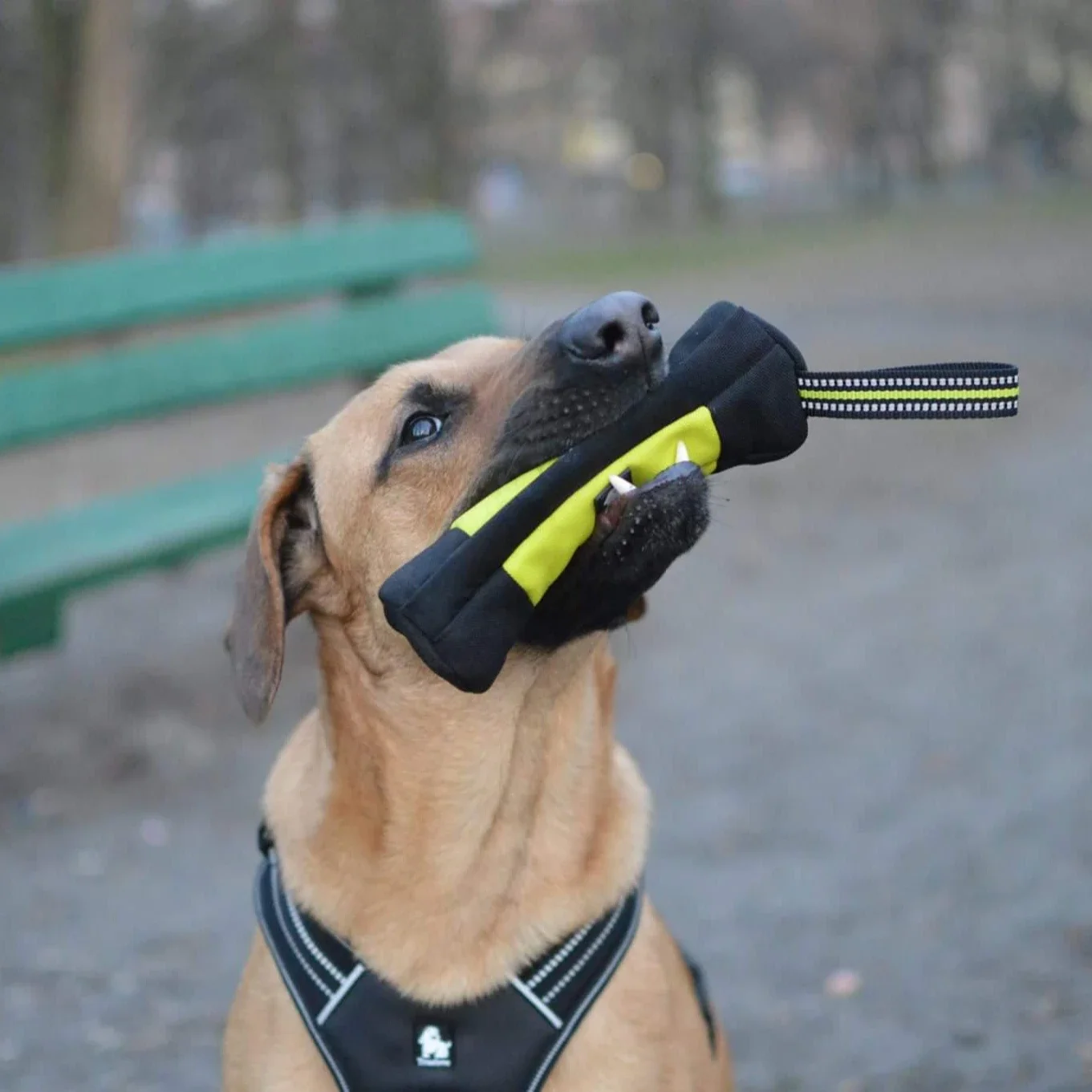 Truelove Dog Training Retrieve - Food Storage Reusable Bags recensie en prijs