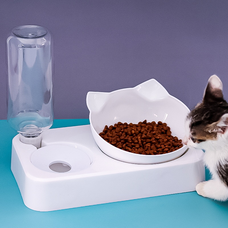 Pet Bowl 15 Degrees Tilt to Pr - Food Storage Safety recensie en prijs