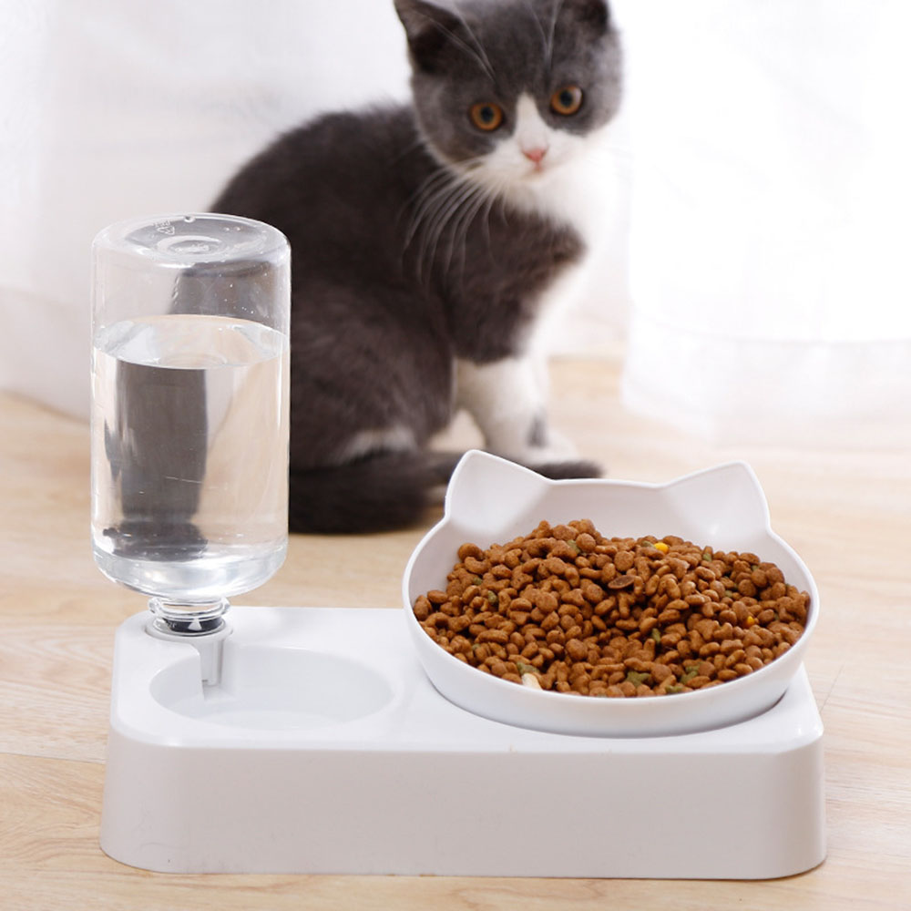 Pet Bowl 15 Degrees Tilt to Pr - Food Storage Safety recensie en prijs