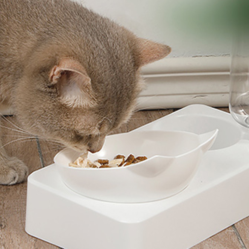 Pet Bowl 15 Degrees Tilt to Pr - Food Storage Safety recensie en prijs